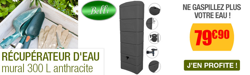 rcuprateur eau bellijardin mural deco anthracite 300l kit raccord chneau inclus - Robinet Pour Recuperateur D Eau De Pluie rcuprateur eau bellijardin mural deco anthracite 300l kit raccord chneau inclus - Robinet Pour Recuperateur D Eau De Pluie