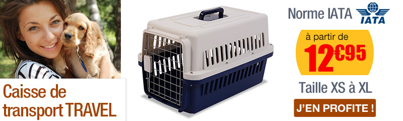 Caisse Et Cage De Transport Pour Chien Oogarden Curver