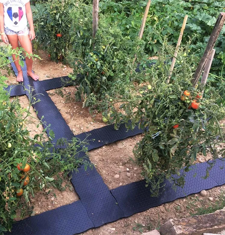 Dalles de Jardin 80 cm lot de 4