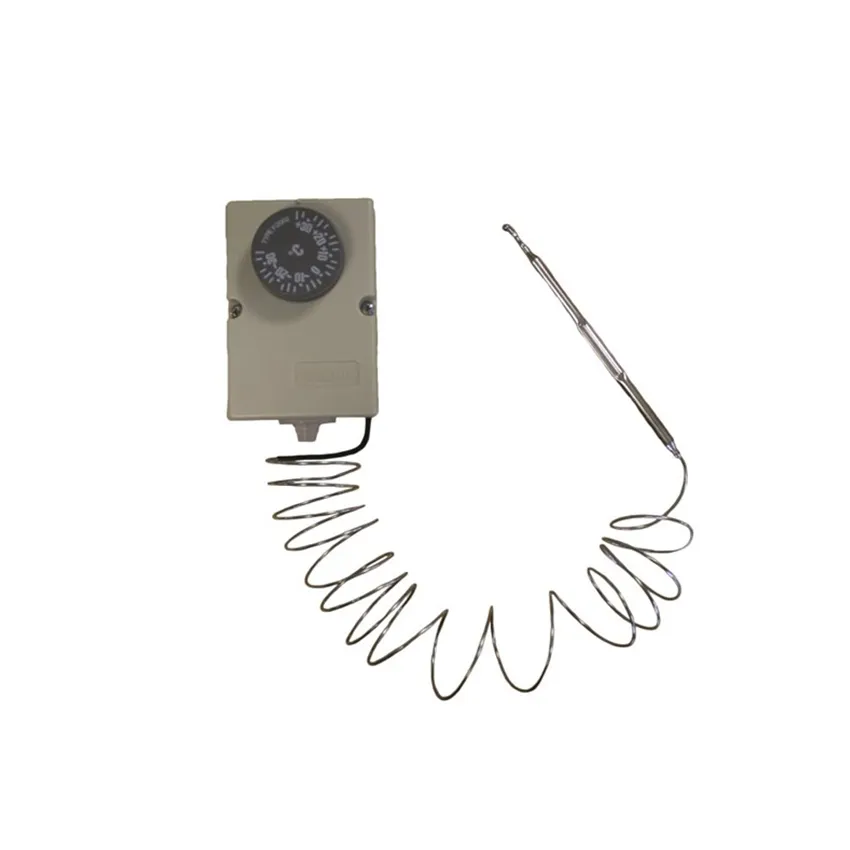 Sonde Hors Gel Piscine Avec Thermostat MÃ©canique