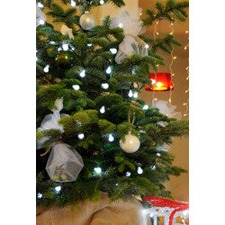 Guirlande Cherry LED blanc longueur 8 m Blachère - BLACHERE