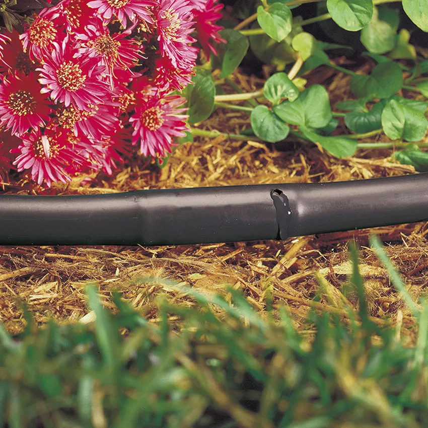 Tuyau Aqua Gout' arrosage goutte à goutte marron 50m