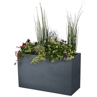 blumenkasten balkon gelb Balkonblumen 