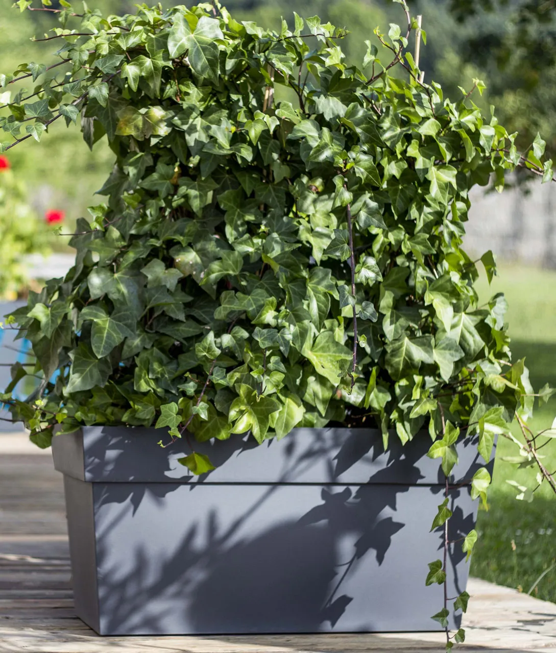 Jardinière TOSCANE L.80 cm Anthracite