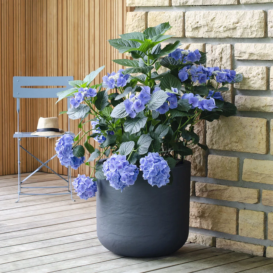 Pot Ã  Fleurs Rond 67L Gris Galet VOLCANIA UP - ÃlÃ©gant et RÃ©sistant