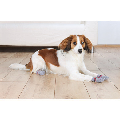 Chaussettes anti dérapantes pour chien l xl