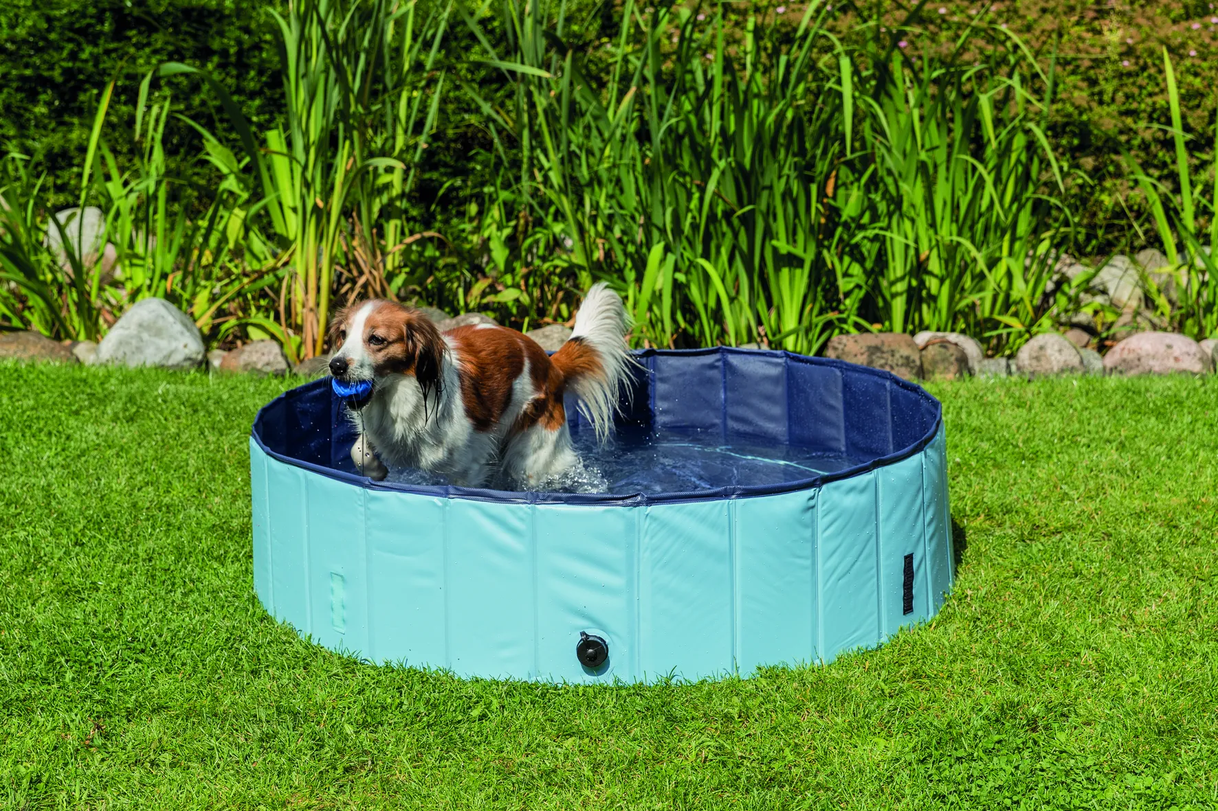 Piscine pour chien bleue 120 x 30 cm