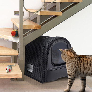 Katzentoilettenhaus Anthrazit - CURVER | OOGarden.de