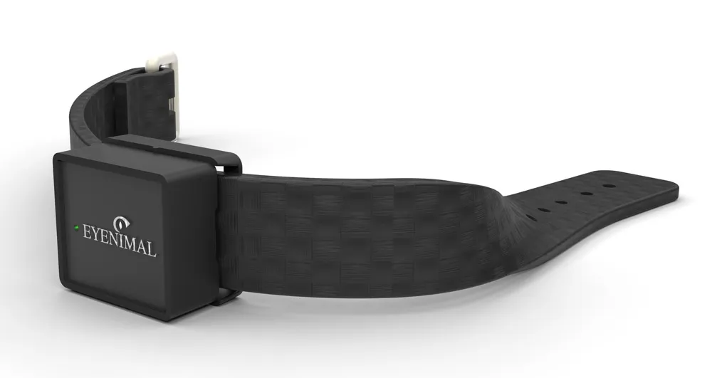 Collier GPS Eyenimal IOPP Tracker