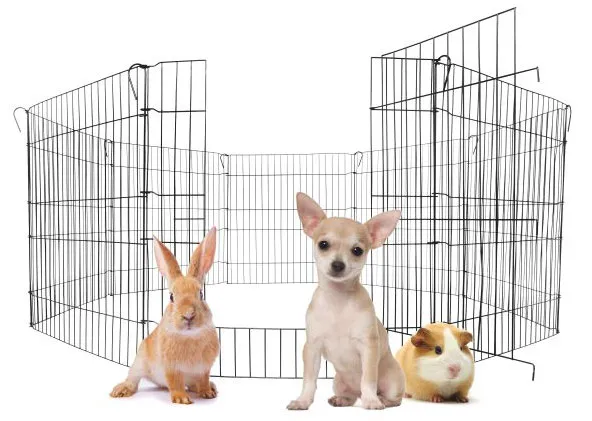 Enclos Métal 8 Panneaux Modulables Pour Chiot Et Rongeurs