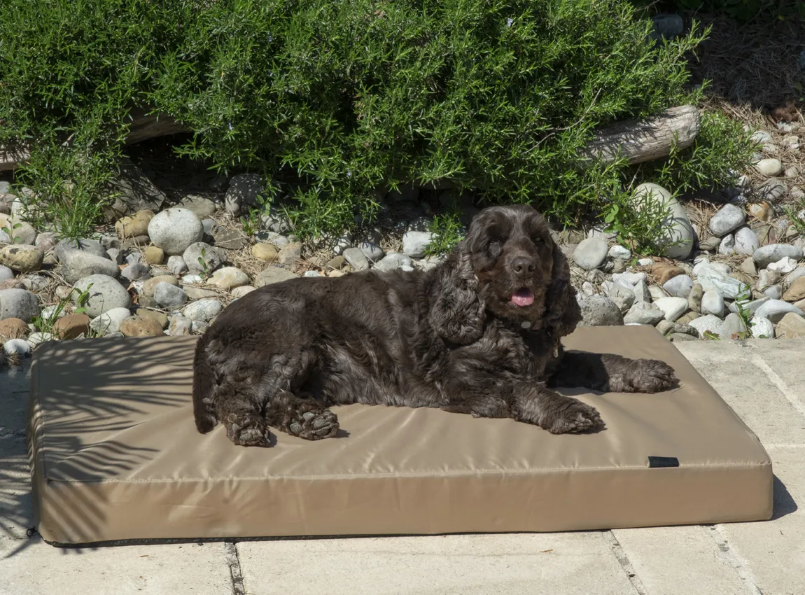Matelas MÃ©moire de Forme pour Chien Taille L 100x70 cm   Confortable