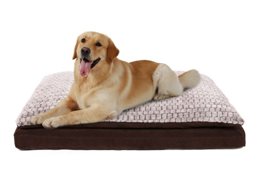 Matratze mit Formgedchtnis fr Hunde - Gr. L | OOGarden.de