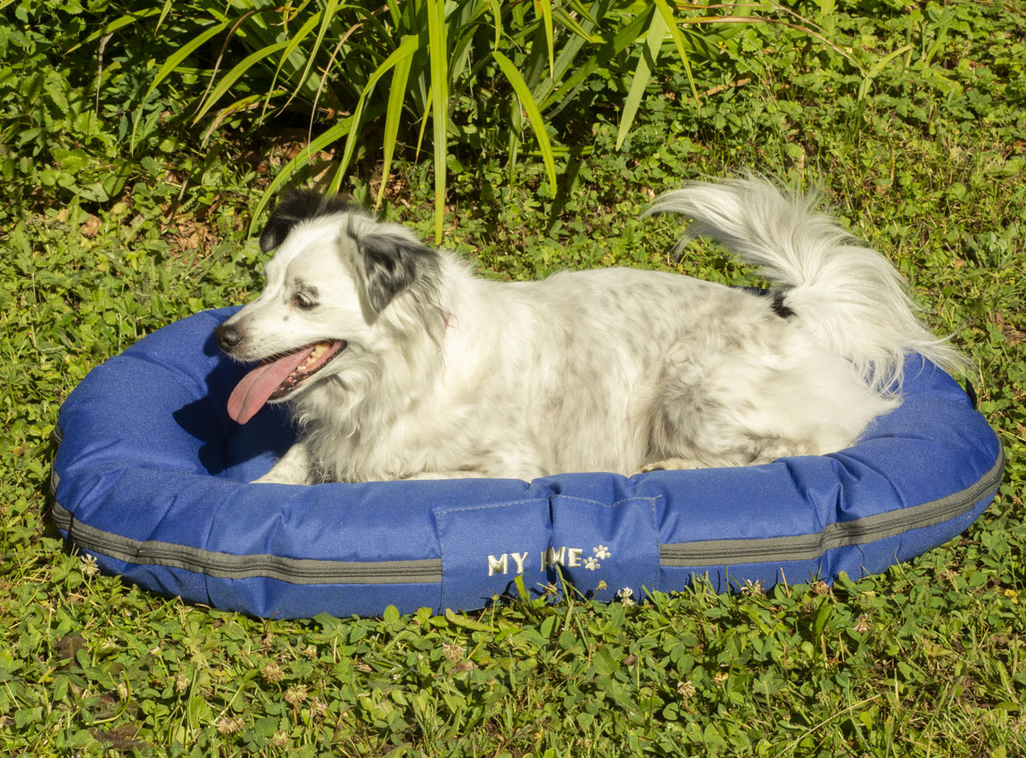 Hundekissen fr drauen Blau - Gre S/M | OOGarden.de