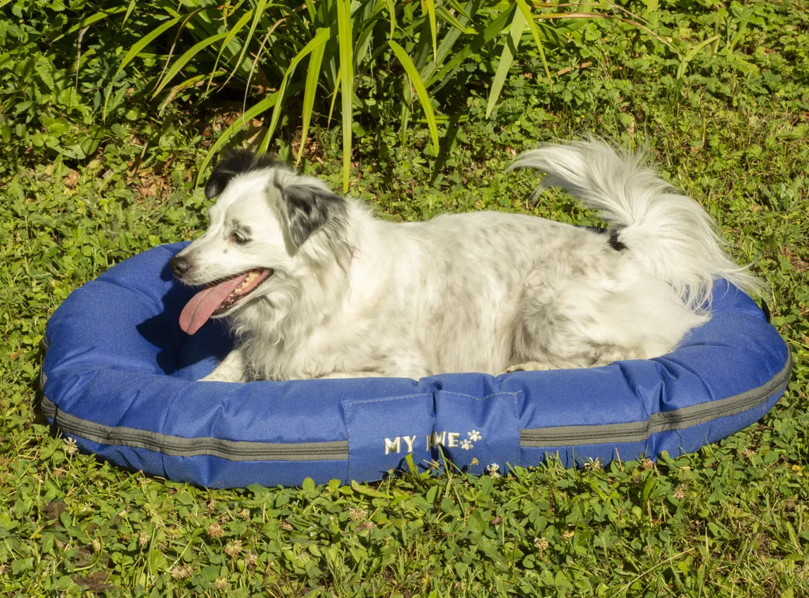 Hundekissen für draußen Blau Größe S M 80 x 60 cm