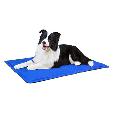Tapis pour chien rafraichissant 60 x 50cm rectangulaire bleu