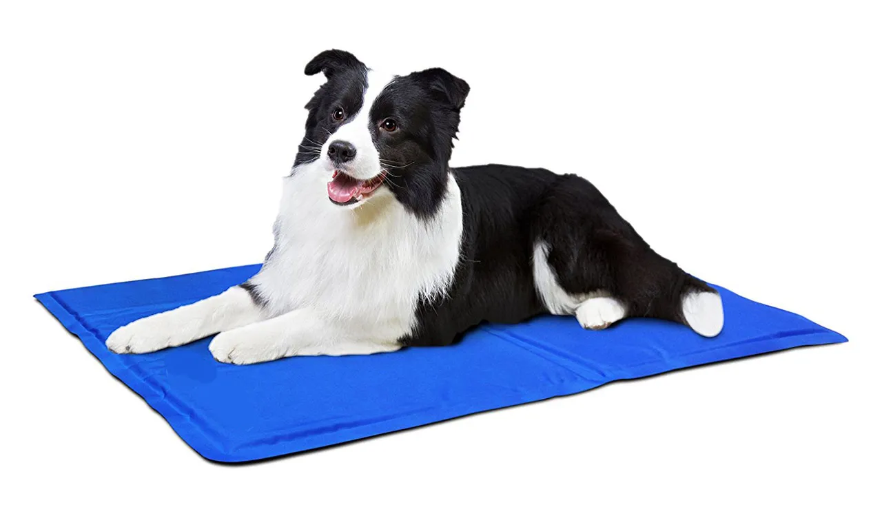 Tapis RafraÃ®chissant Pour Chien 60 x 50 cm - Confort Et FraÃ®cheur