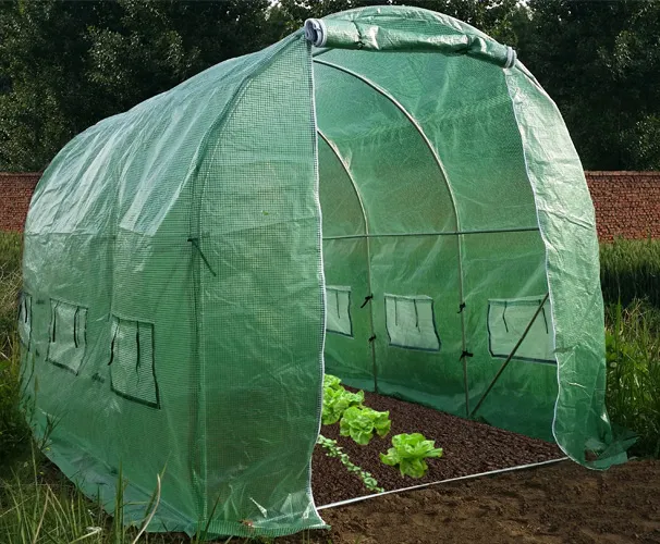 Serre de Jardin Tunnel 6 m² GALINA hauteur 2 mètres