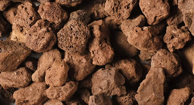 La Pouzzolane : Les Inconvénients De Cette Pierre Volcanique Pour Le Paillage De Vos Plantes - Le Parisien Jardin