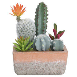 Pot avec 6 cactus artificiels Olia - L 15 x H. 20 cm -  Terracotta - OOGarden