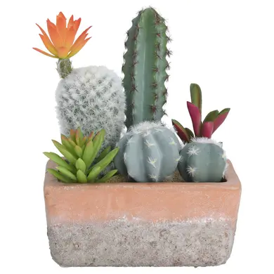 Blumentopf mit 6 knstlichen Kakteen Olia | OOGarden.de