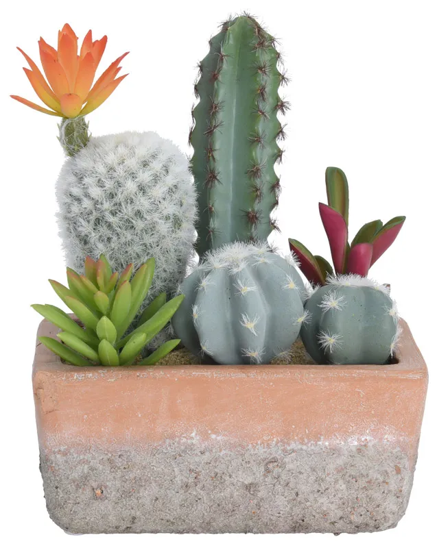 Pot avec 6 cactus artificiels Olia L 15 x H. 20 cm Terracotta