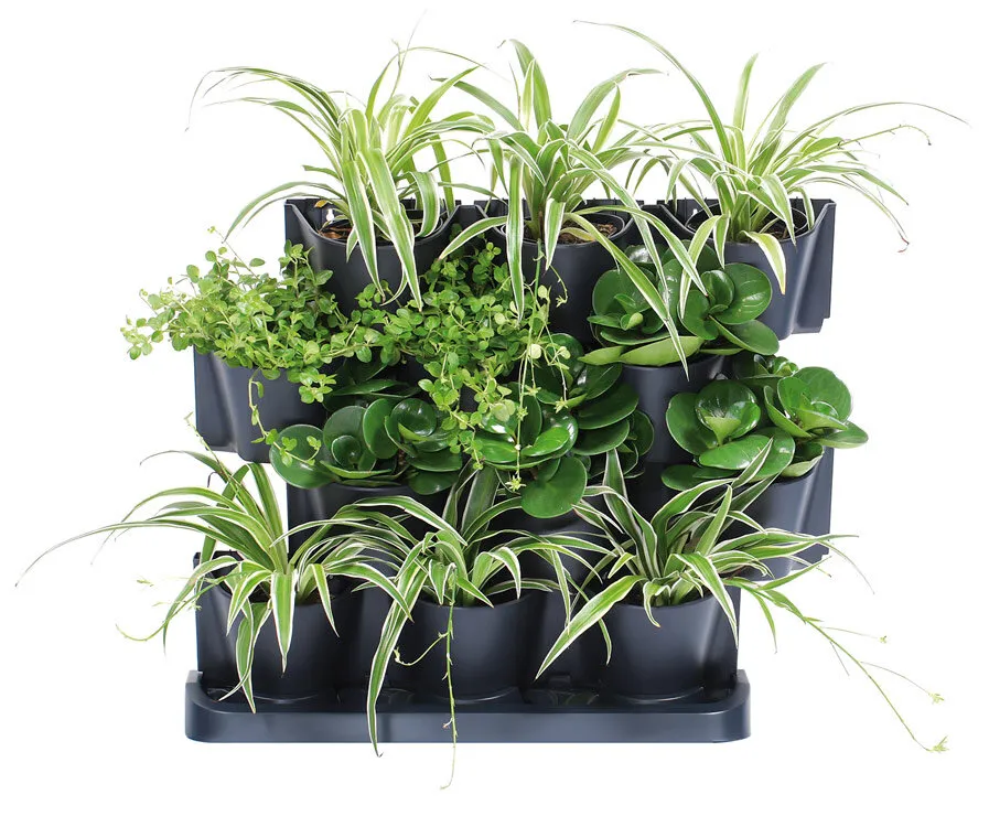 Pflanzenwand CASCADE Blumentopf B 54 cm anthrazit grau