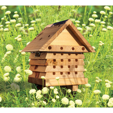 Ruche pour abeilles solitaires en bois