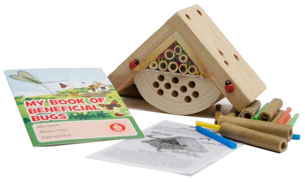 Petit abri Ã  insectes en bois