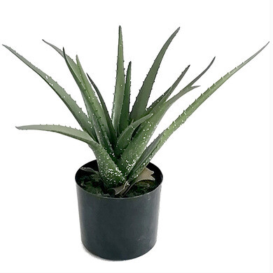 Aloe vera artificiel avec pot 40 cm nado