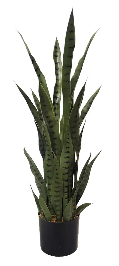Sanseviera artificielle 70cm TRIBO
