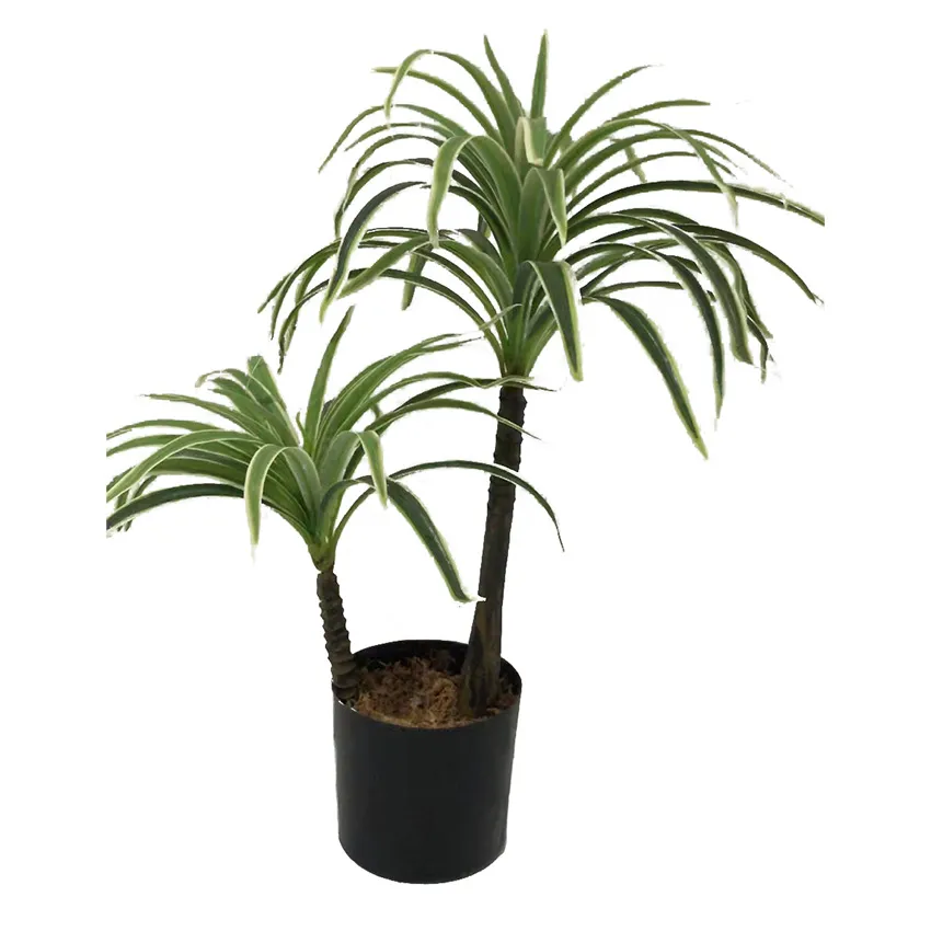 Dracaena artificiel 45cm BARRA