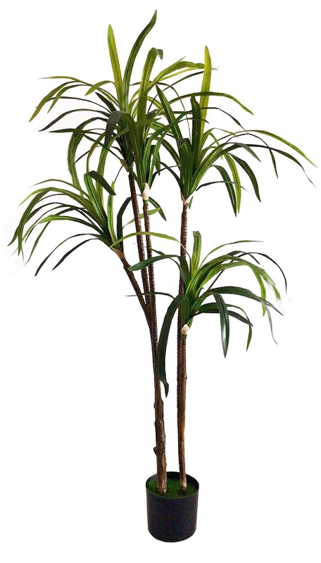 Plante artificielle Draceana 160cm BOA