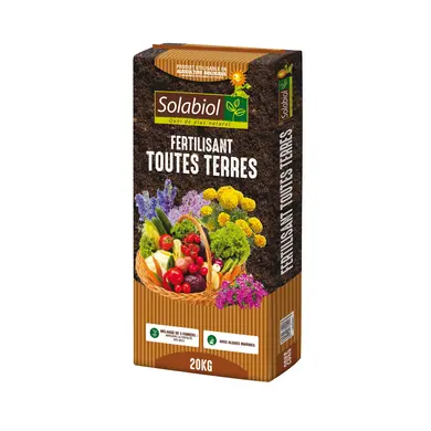 aloe vera saft morgens oder abends Bio Aloe Vera Direktsaft 500ml – WILD BABOON
