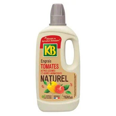 100 aloe vera gel ALODERMA Pure Aloe Vera Gel 300g