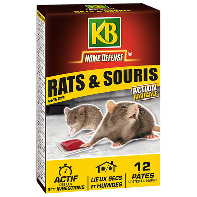 Raticide rats souris en pâte 120g
