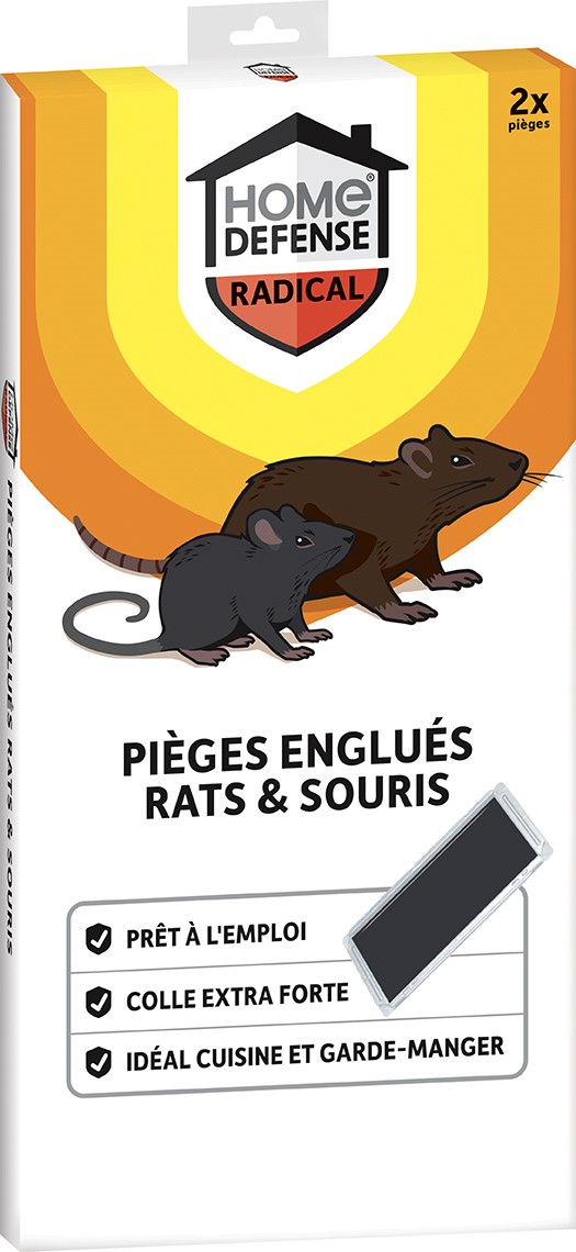 Répulsif Ultrason Souris Et Rats Pour Voiture - Piège à Rongeurs 2 Pièces - Protection Moteur