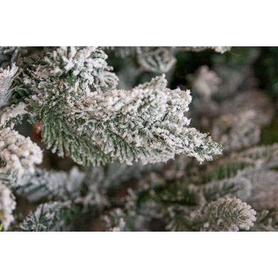 Noch 26928 – Lot De 10 Sapins Enneigés – Échelles H0 Et TT – Pour Maquettes De Paysages D'hiver