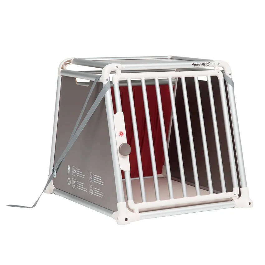 Sicherheitsgurt Transportbox ECO StrapFix