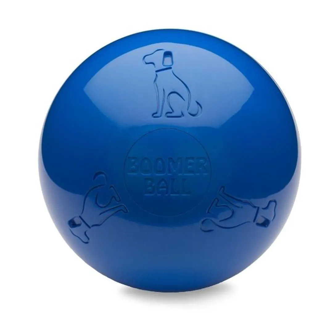 BOOMER BALL 20 CM Pour Chien   Robuste