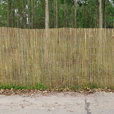 silizium bambus Bambus Silizium main image 0