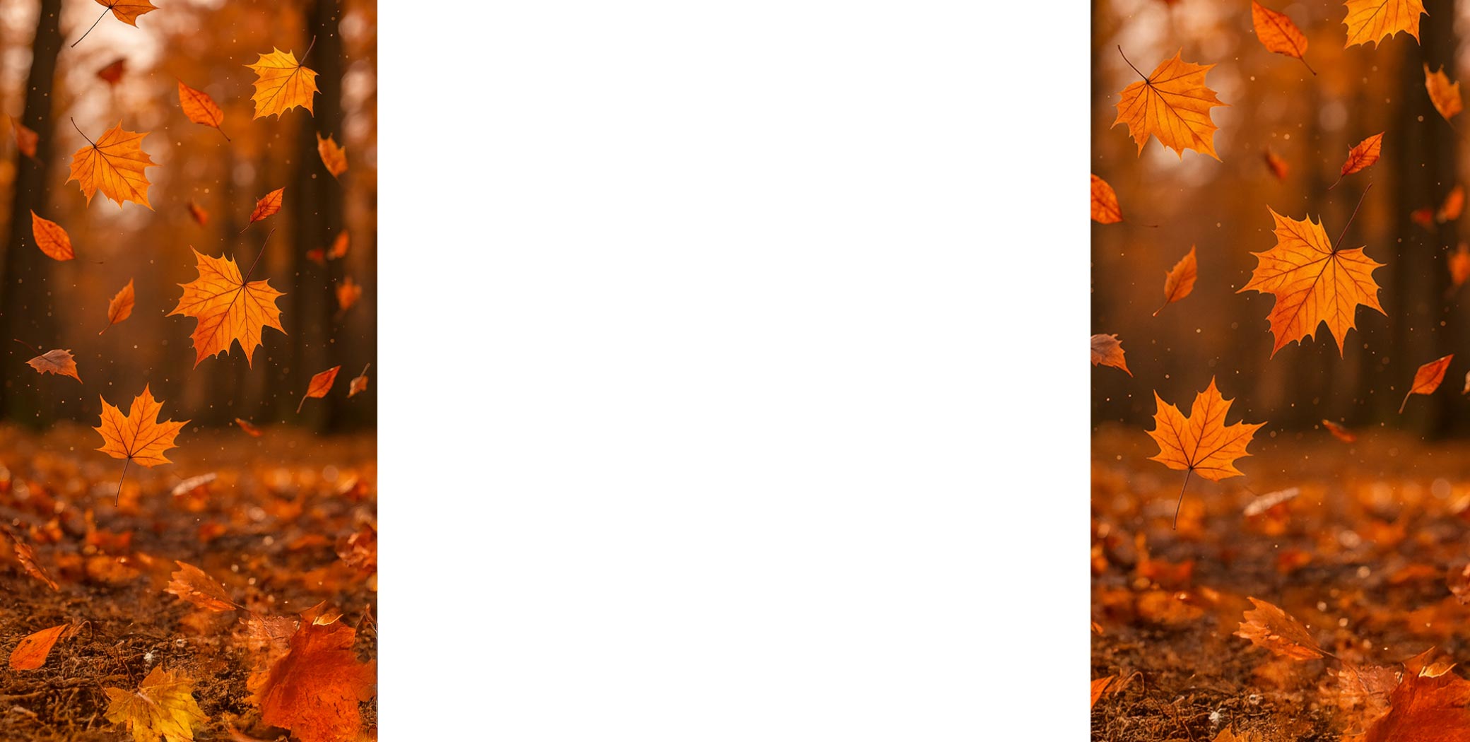 OOGarden background